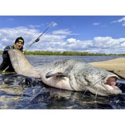 Canne Silure Black Cat Perfect Passion XH-S (462g - 3m00 - Max 350g - 2 - 150cm) 7 Canne Silure Black Cat Perfect Passion XH-S (462g - 3m00 - Max 350g - 2 - 150cm) -Pêche Boutique canne silure black cat perfect passion xh s 462g 3m00 max 350g 2 150cm 3