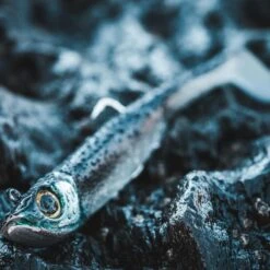 COMBO Leurres Souples Shad Texan ANCHO 120 50g Dos Noir/dos Blanc Pêche En Mer -Pêche Boutique combo leurres souples shad texan ancho 120 50g dos noirdos blanc peche en mer 3