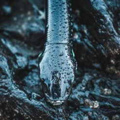 COMBO Leurres Souples Shad Texan ANCHO 120 50g Dos Noir/dos Blanc Pêche En Mer -Pêche Boutique combo leurres souples shad texan ancho 120 50g dos noirdos blanc peche en mer 4