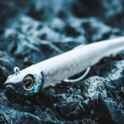 COMBO Leurres Souples Shad Texan ANCHO 120 50g Dos Noir/dos Blanc Pêche En Mer -Pêche Boutique combo leurres souples shad texan ancho 120 50g dos noirdos blanc peche en mer 5