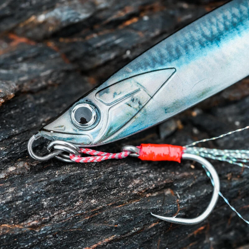 CUILLER BIASTOS 80gr ANCHOIS Pêche Au Leurre En Mer 5 CUILLER BIASTOS 80gr ANCHOIS Pêche Au Leurre En Mer – Image 5