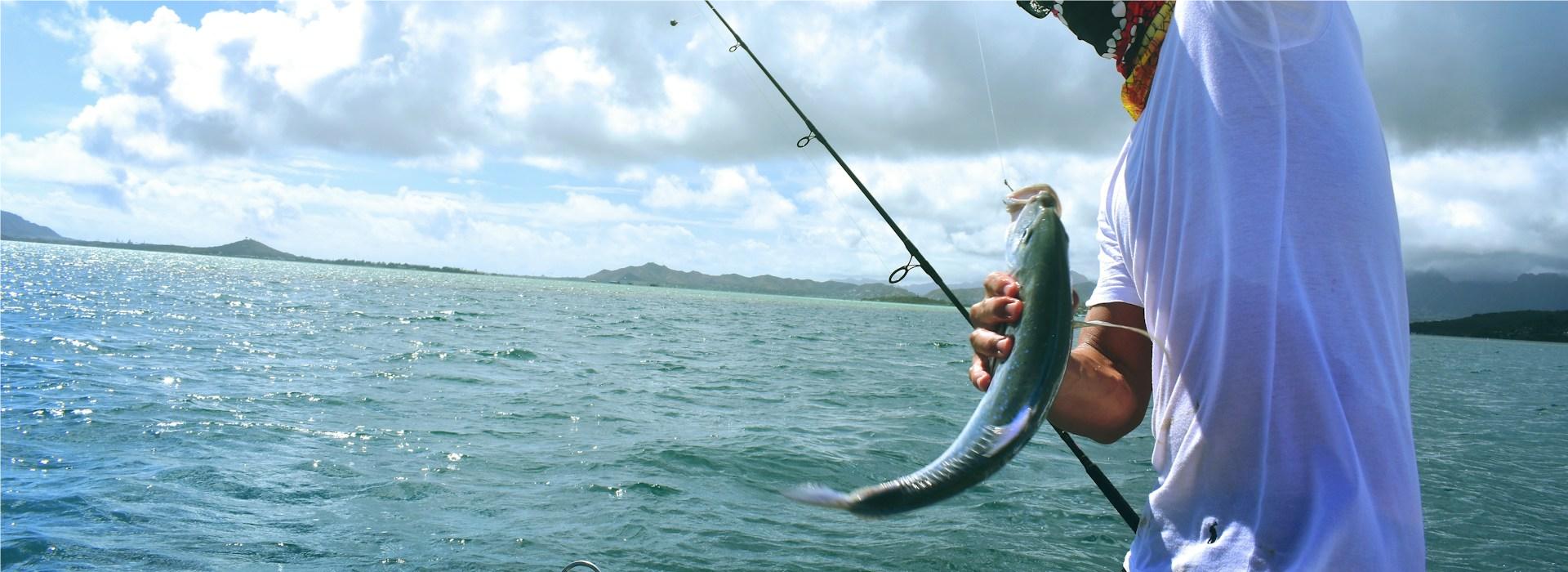 Pêche Boutique -Pêche Boutique drew farwell lj68Swk5Tgo unsplash