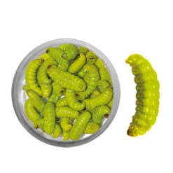 ESCHE PÊCHE DE LA TRUITE TEIGNES MOMIFIEES VERTE