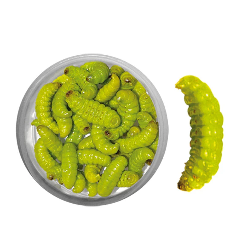 ESCHE PÊCHE DE LA TRUITE TEIGNES MOMIFIEES VERTE 1 ESCHE PÊCHE DE LA TRUITE TEIGNES MOMIFIEES VERTE