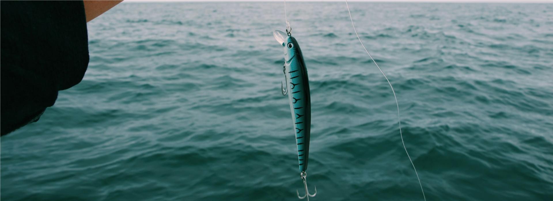 Pêche Boutique -Pêche Boutique mael balland ZWF1DVAXXLY unsplash