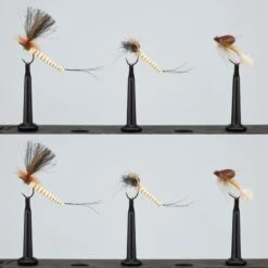 MOUCHES SECHES HRK7 X6