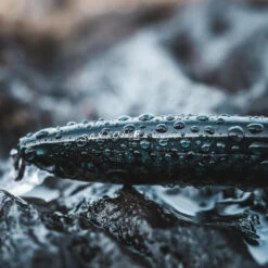 Poisson Nageur SAXTON 110F Mack Vert Pêche Au Leurre En Mer 16 Poisson Nageur SAXTON 110F Mack Vert Pêche Au Leurre En Mer -Pêche Boutique poisson nageur saxton 110f mack vert peche au leurre en mer 7