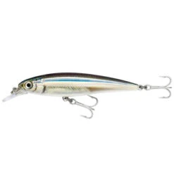 Rapala Poisson Nageur X RAP SRX10 ANCHOVY Pêche Aux Leurres En Mer