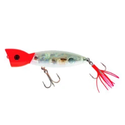 SAKURA Popper PULSION GHOST CRYSTAL RED HEAD TR 135 F Pêche En Mer