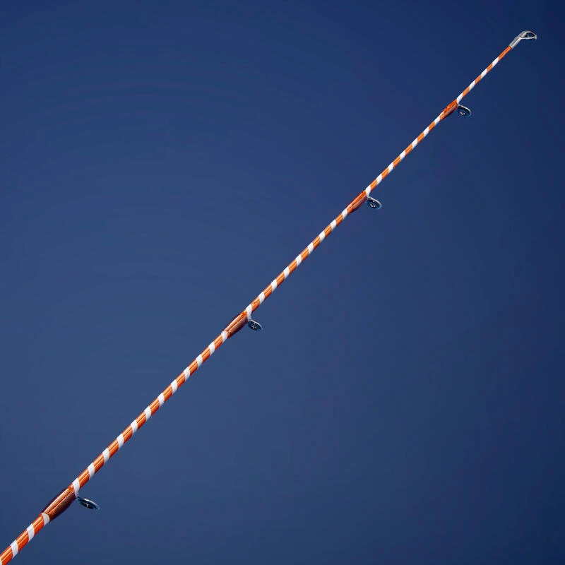 SAV Scion De Rechange Pêche Au Posé Léger SEACOAST LIGHT 500 300 HYBRID 1 SAV Scion De Rechange Pêche Au Posé Léger SEACOAST LIGHT 500 300 HYBRID