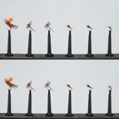 SECHES & NYMPHES HRK16 X12