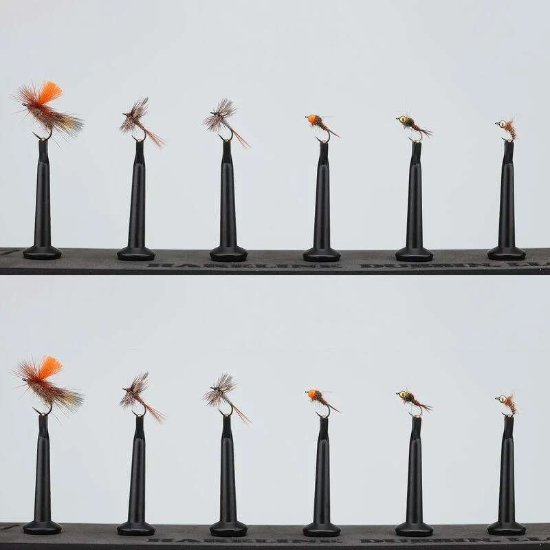 SECHES & NYMPHES HRK16 X12 1 SECHES & NYMPHES HRK16 X12